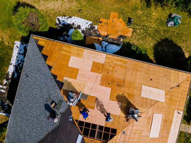 Best Roof Waterproofing Services  in Ellisville, MS