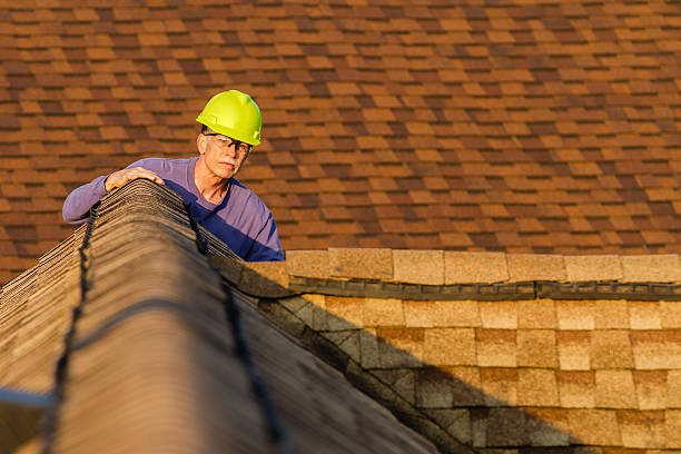 Best Roof Maintenance Services  in Ellisville, MS