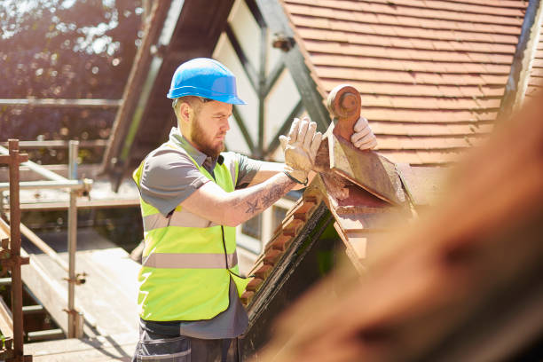 Best Best Roofing Contractors  in Ellisville, MS