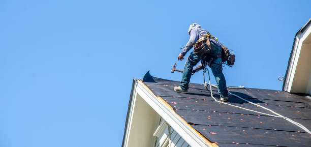 Best Best Roofing Contractors  in Ellisville, MS